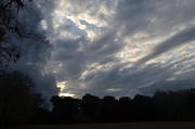 9th Dec 2012 - Dramatic skies at the gardens today