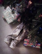 9th Dec 2012 - Under the tree