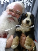 10th Dec 2012 - Look Dad, I'm with Santa Claus!