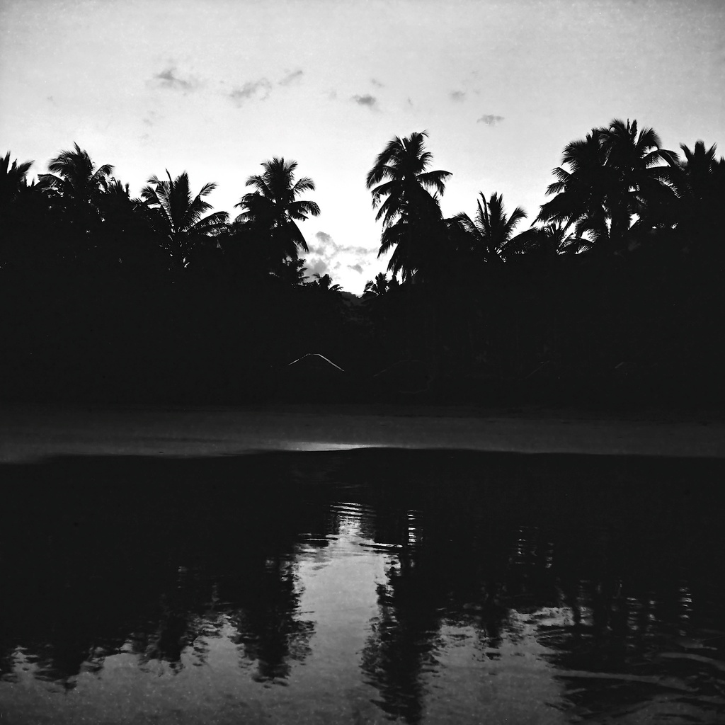 Hut beneath the palms by peterdegraaff