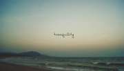12th Dec 2012 - tranquillity