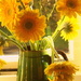 Yellow flower's in green jug. by snowy