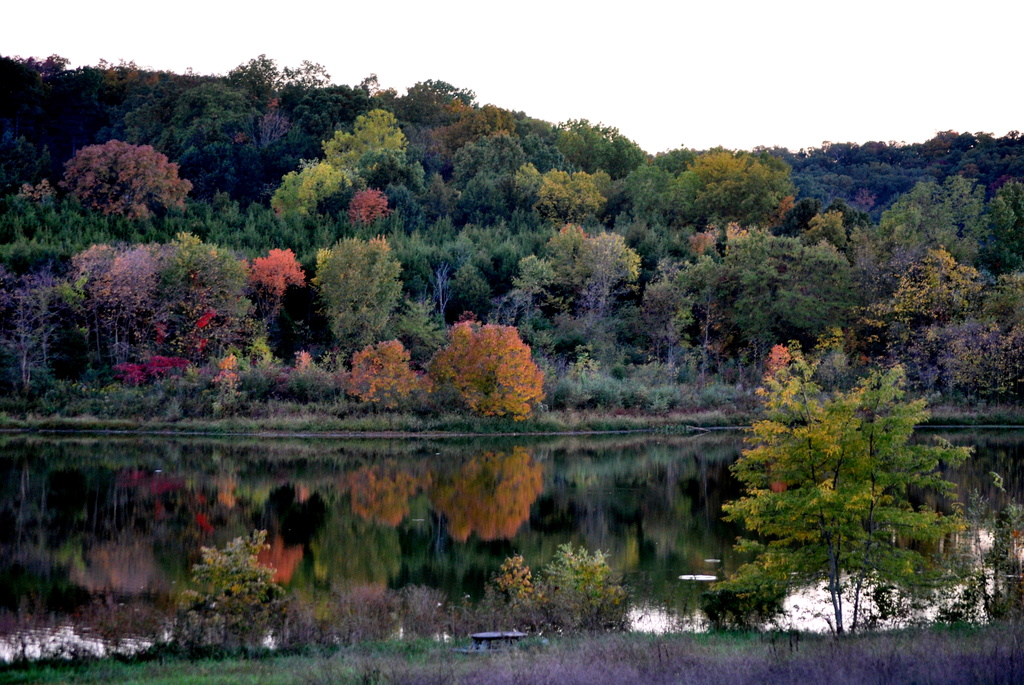 Autumn Reflection by kareenking