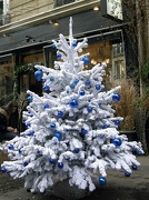 10th Dec 2012 - Decorating the Christmas tree