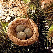10th Dec 2012 - The Prized Ornament
