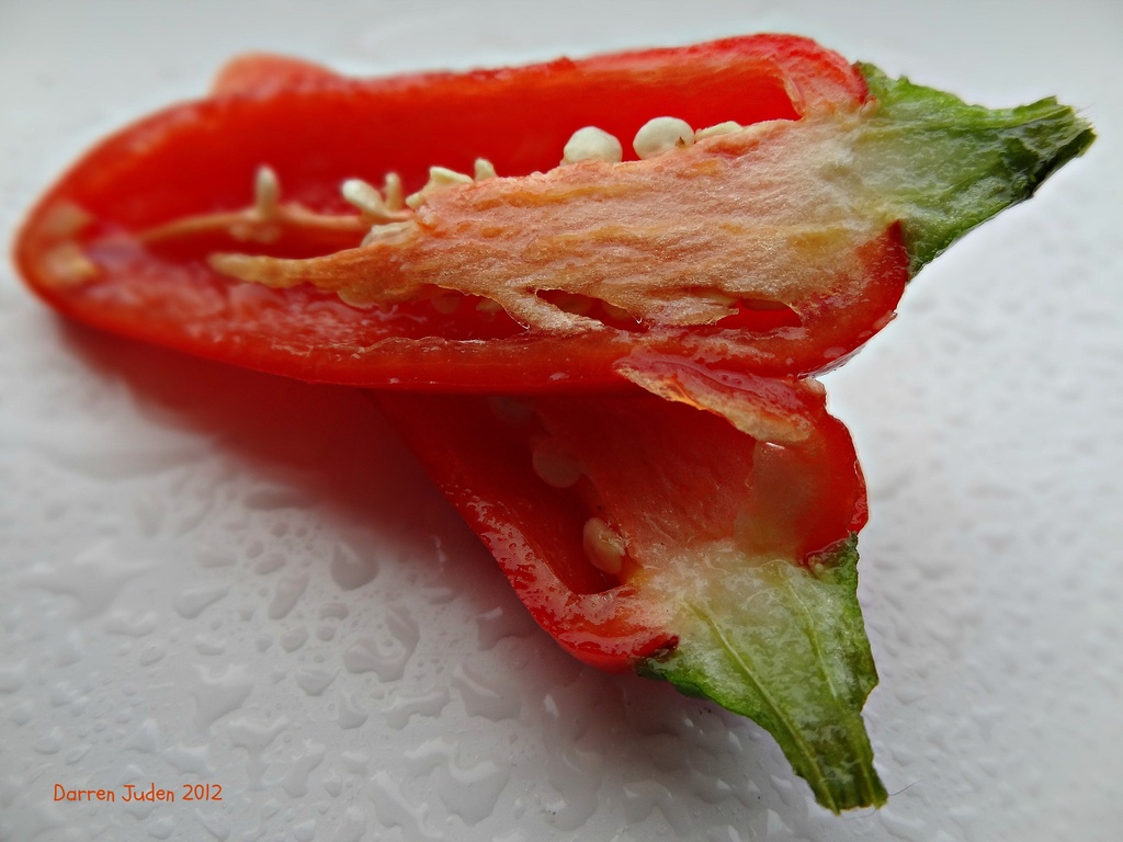 Rainbow week: RED Chili pepper. by darrenboyj