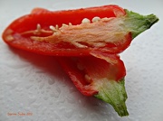 11th Dec 2012 - Rainbow week: RED Chili pepper.
