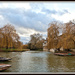 9.12.12 River Cam  by stoat
