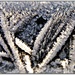 Frosty windscreen by judithdeacon