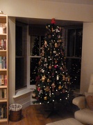 11th Dec 2012 - Decoration/Tree