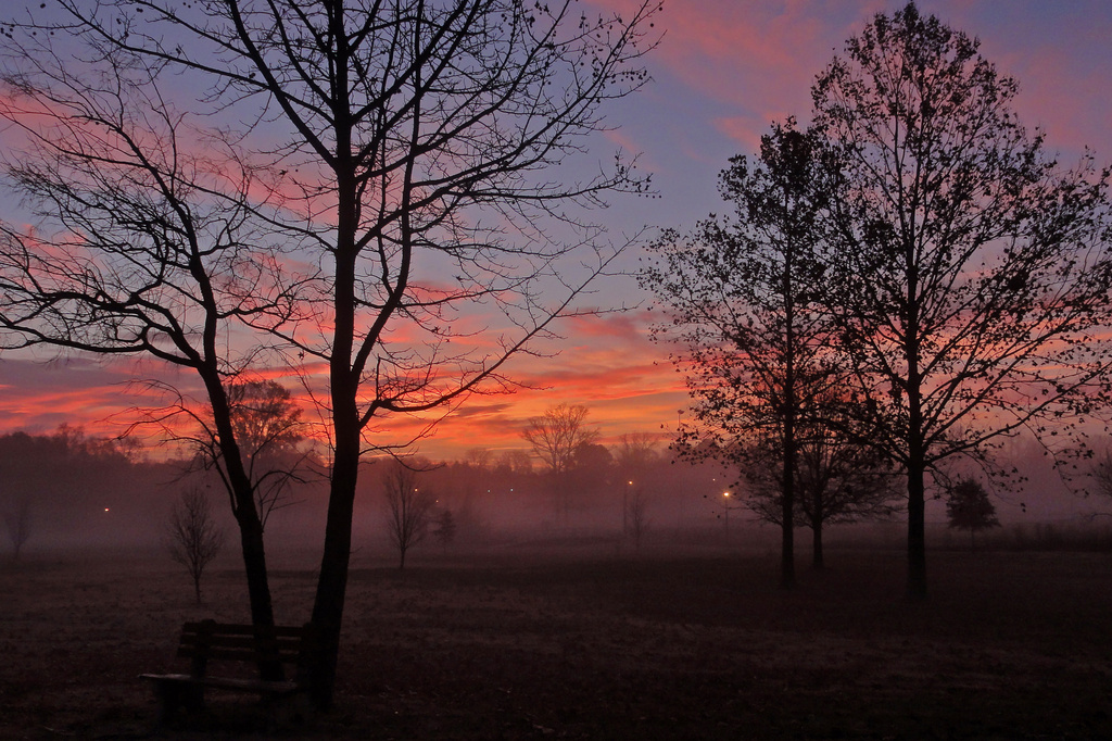 Foggy Sunrise by milaniet