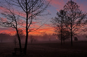 11th Dec 2012 - Foggy Sunrise