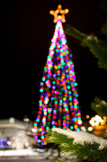 9th Dec 2012 - Downtown Christmas tree