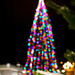 Downtown Christmas tree by kiwichick