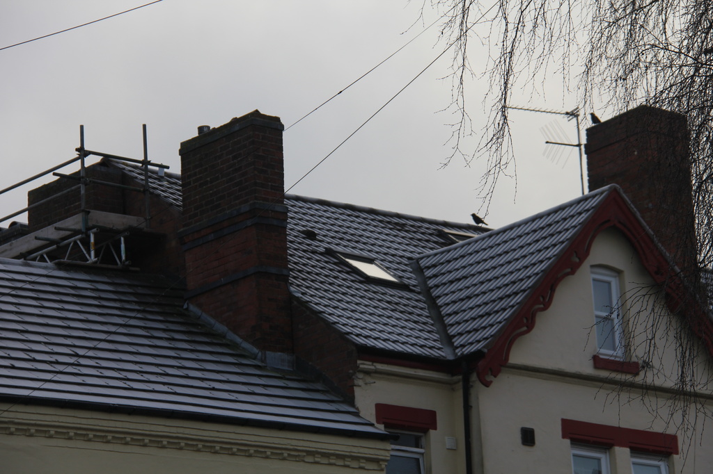 Frosty Roofs by daffodill