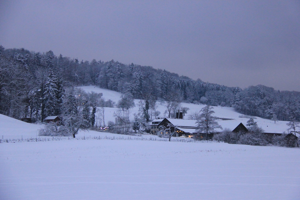 winter scene by belucha