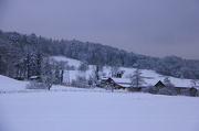 8th Dec 2012 - winter scene