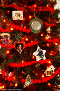11th Dec 2012 - Christmas tree