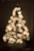 11th Dec 2012 - Bokeh Tree