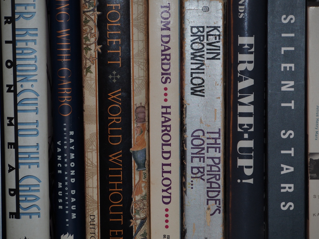 Bookshelf Typography by grozanc