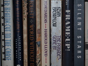 8th Dec 2012 - Bookshelf Typography