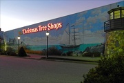 12th Dec 2012 - Christmas Tree Shops Portland, ME
