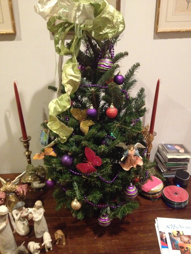 Our Christmas tree  by congaree