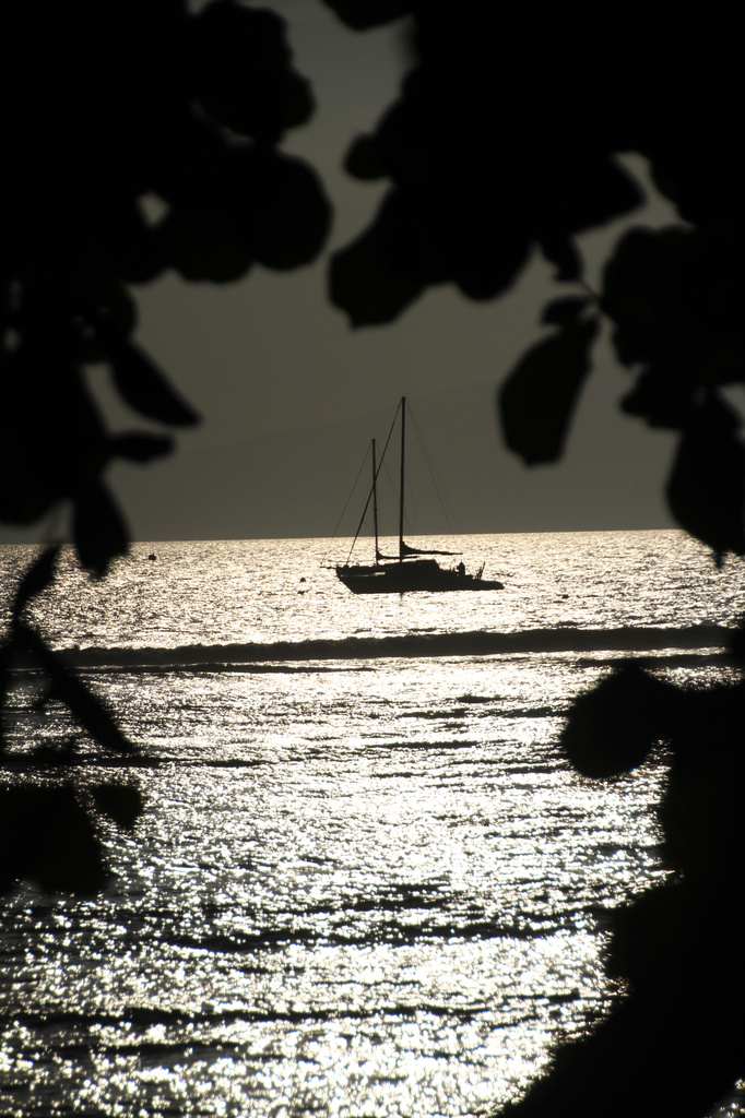 Sailing at sunset by whiteswan