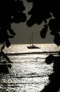 7th Dec 2012 - Sailing at sunset