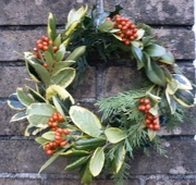 13th Dec 2012 - Today's project - Christmas wreath making!