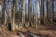 10th Dec 2012 - New England Stone Walls
