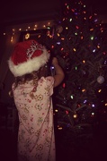 13th Dec 2012 - tree