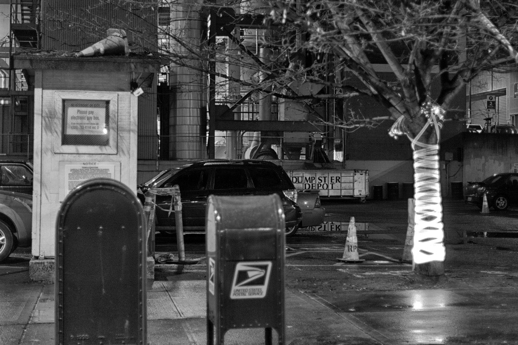 Even Dumpster Depot Is Set Up For Holiday Lights... by seattle