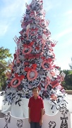 12th Dec 2012 - Dr. Seuss Christmas Tree