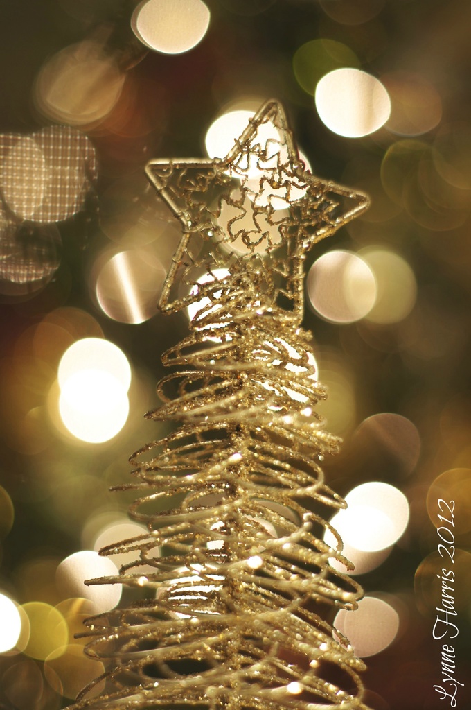 Bokeh Christmas by lynne5477