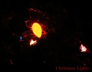 13th Dec 2012 - Challenge: Lights