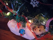 8th Dec 2012 - Under the tree
