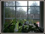 14th Dec 2012 - Rain, rain go away