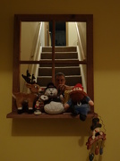 14th Dec 2012 - Woops ,Knick Knack shelf and me and the steps