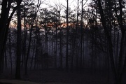 11th Dec 2012 - Foggy morning sunrise