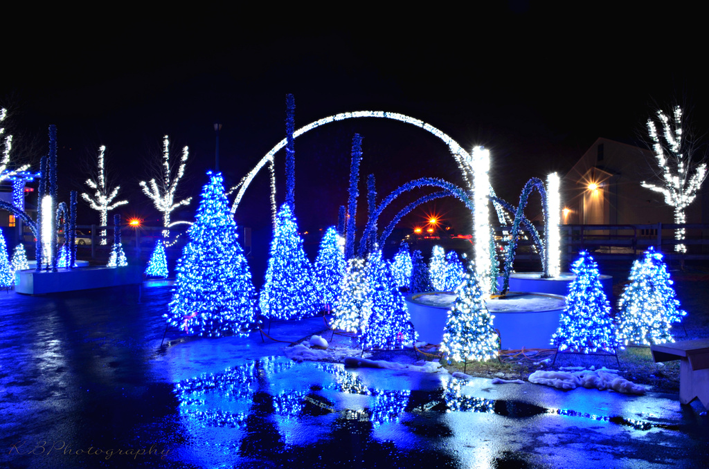 Blue Christmas Lights by myhrhelper
