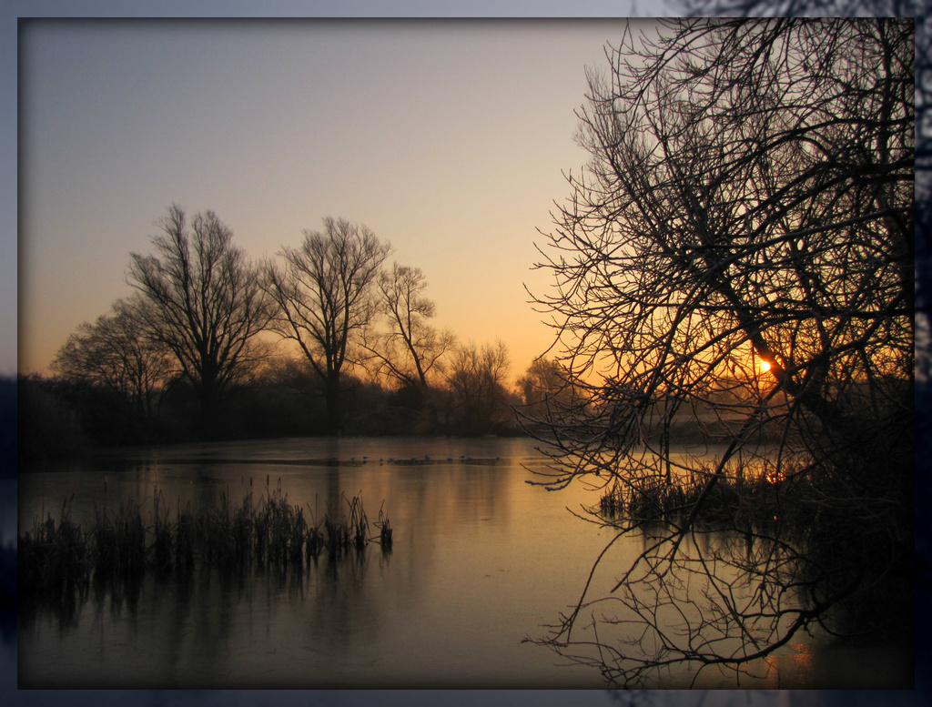 Icy pond at sunrise by busylady