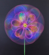 14th Dec 2012 - Whirly whirligig