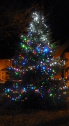 15th Dec 2012 - The Village Christmas Tree