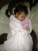 5th Nov 2012 - I love napping