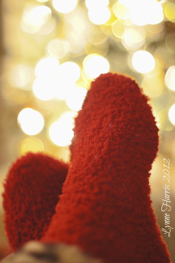 Christmas Socks by lynne5477