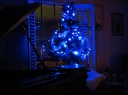 15th Dec 2012 - A Tree for Elvis
