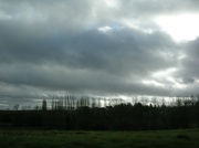 15th Dec 2012 - From the car