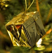 15th Dec 2012 - Christmas time!