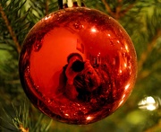 16th Dec 2012 - Tree decoration...